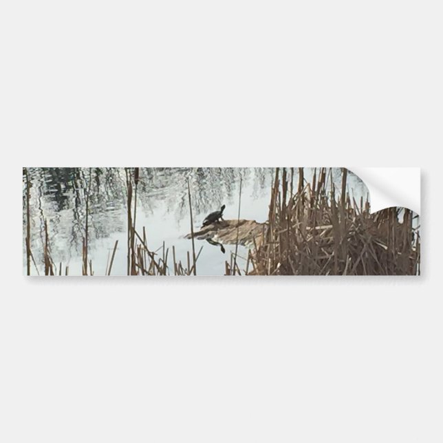 Adesivo Para Carro Solstício de inverno (Frente)