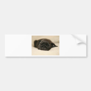 Adesivo Para Carro Sono preto do filhote de cachorro do Pug