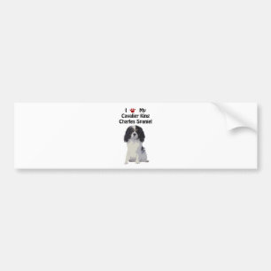 Adesivo Para Carro Spaniel de rei Charles descuidado
