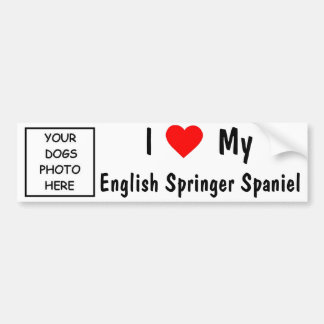 Adesivo Para Carro Spaniel de Springer inglês