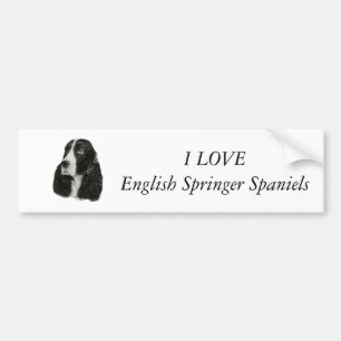 Adesivo Para Carro Spaniel de Springer inglês
