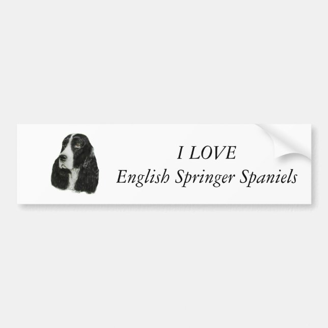 Adesivo Para Carro Spaniel de Springer inglês (Frente)