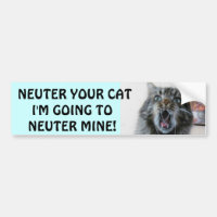 Spay e neutralize seu gato. Gatinho chocado