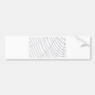 Adesivo Para Carro Spider Web