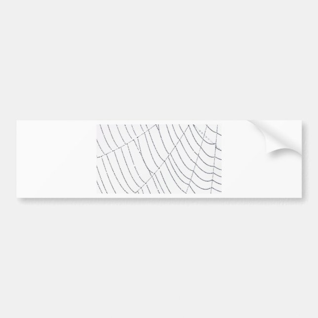 Adesivo Para Carro Spider Web (Frente)