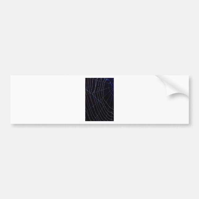 Adesivo Para Carro Spider Web (Frente)