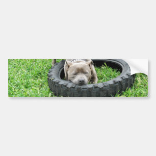 Adesivo Para Carro Staffordshire Bull Terrier, One Chomp,