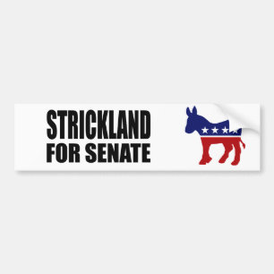 ADESIVO PARA CARRO STRICKLAND 2010