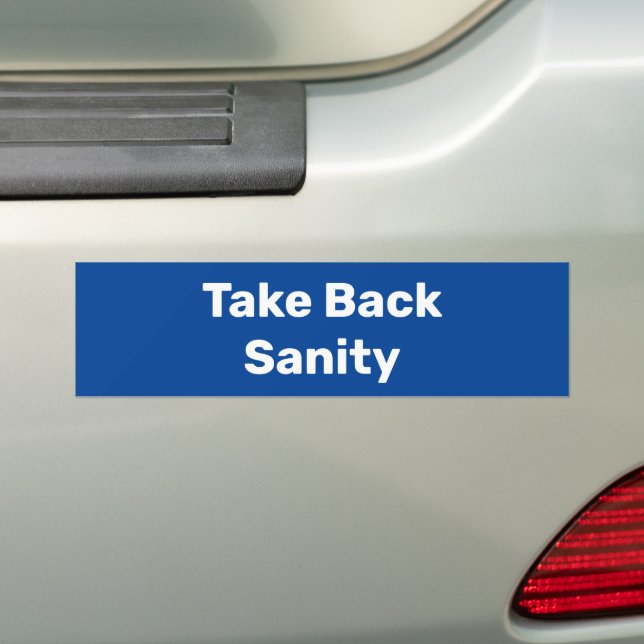 Adesivo Para Carro Take Back Sanity (No carro)