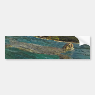 Adesivo Para Carro Tartarugas de Havaí - Honu