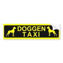 Táxi do Cão