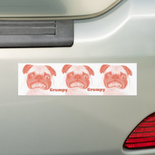 Adesivo Para Carro Tempos de Pug Grumpy Três