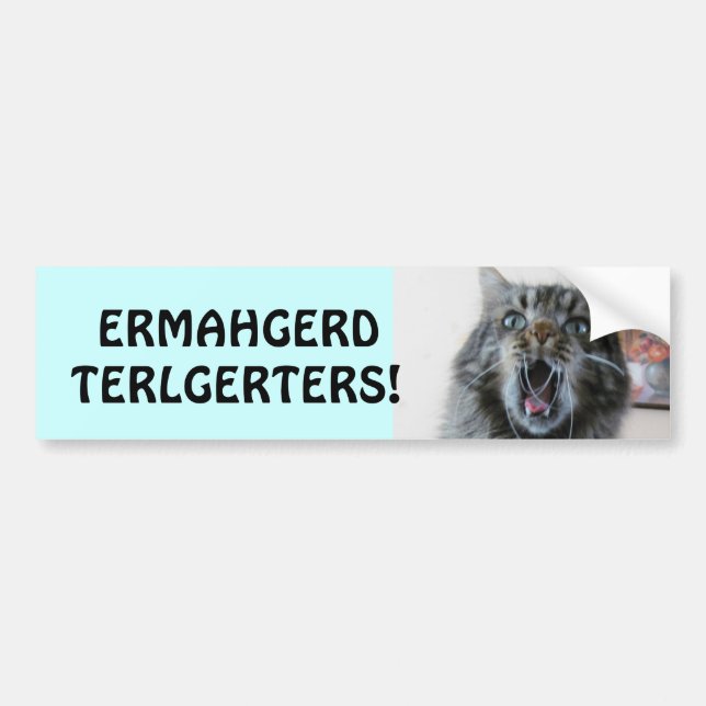 Adesivo Para Carro Terlgerters! Ermahgerd! Atletas Gatinhos Chocados (Frente)