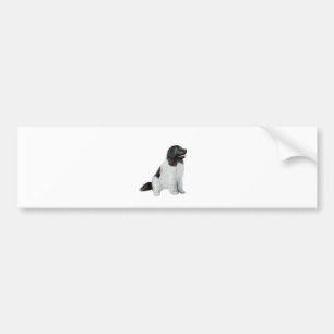 Adesivo Para Carro Terra Nova (C) - Landseer nº 1