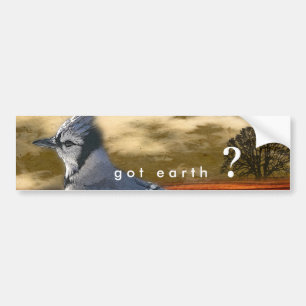 Adesivo Para Carro terra obtida?