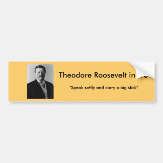 Adesivo Para Carro Theodore Roosevelt para o presidente