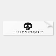 There is no planet 'B'
