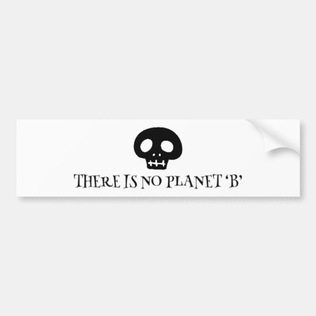 Adesivo Para Carro There is no planet 'B' (Frente)