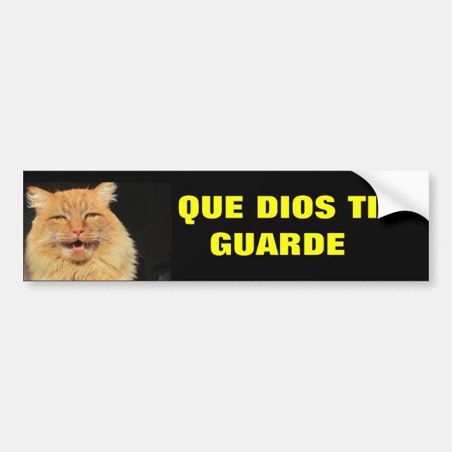 Adesivo Para Carro Ti Guarde de Gato - de Que Dios (pode o relógio do (Frente)
