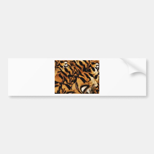 Adesivo Para Carro Tiger Love (Frente)