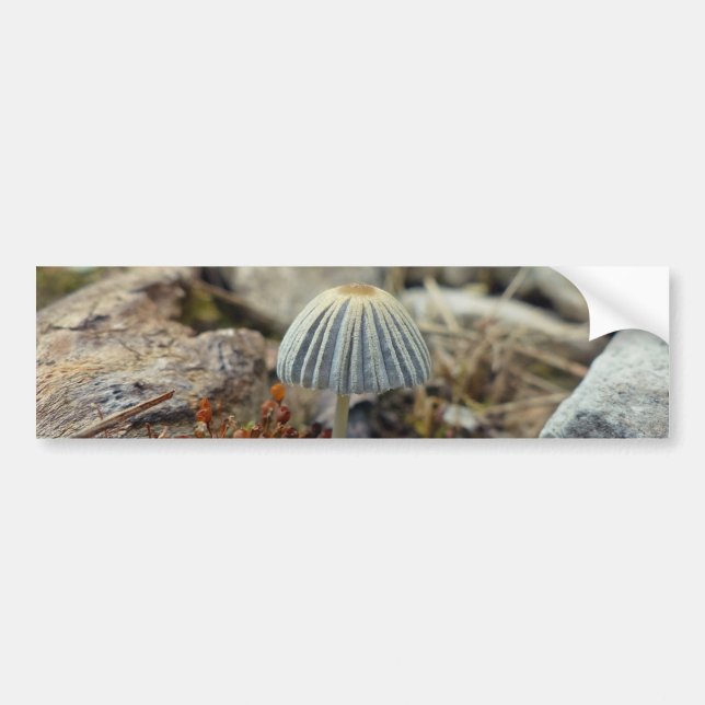 Adesivo Para Carro Toadstool pequenina (Frente)