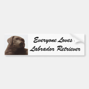 Adesivo Para Carro Todo mundo ama um Labrador Retriever