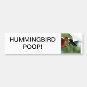 Adesivo Para Carro Tombadilho do colibri!
