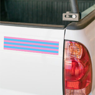 Adesivo Para Carro Trans Pride (1999 Histórica)