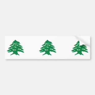 Adesivo Para Carro Três Green Lebanon Cedar Tree