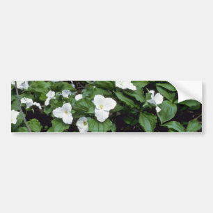 Adesivo Para Carro Trillium Grande-Florescido branco (Trillium