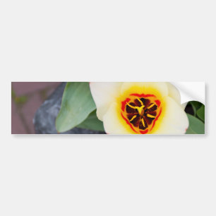Adesivo Para Carro Tulipa