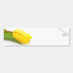 Adesivo Para Carro Tulipa amarela