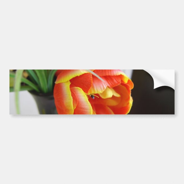 Adesivo Para Carro Tulipa da Seda (Frente)
