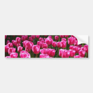 Adesivo Para Carro Tulipas Rosa