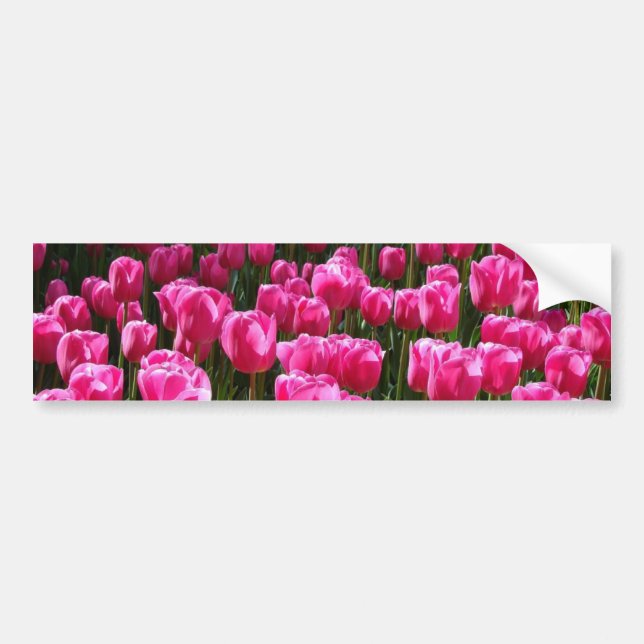 Adesivo Para Carro Tulipas Rosa (Frente)
