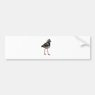 Adesivo Para Carro Turnstone corado