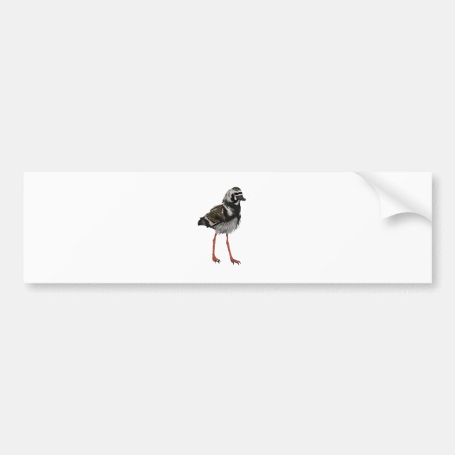 Adesivo Para Carro Turnstone corado (Frente)