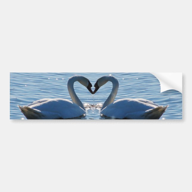 Adesivo Para Carro Um beijo do coração da cisne, reflexões do amor (Frente)