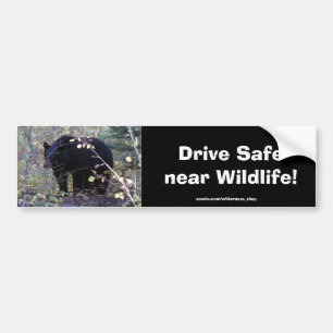 Adesivo Para Carro Urso Cub preto que conduz o autocolante no vidro