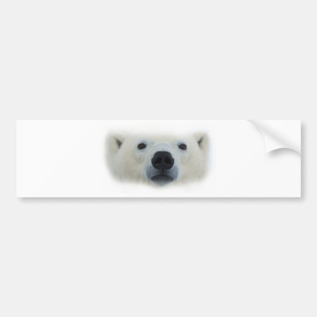 Adesivo Para Carro Urso Polar (Frente)