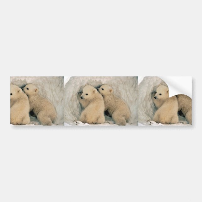 Adesivo Para Carro Urso polar (Frente)
