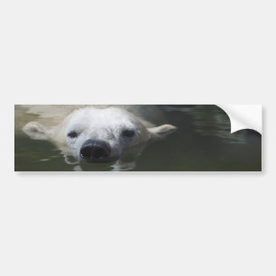 Adesivo Para Carro Urso Polar