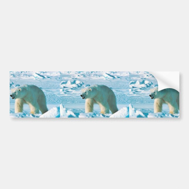 Adesivo Para Carro Urso polar (Frente)