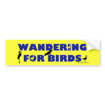 Vagueamento para pássaros