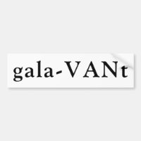 Van name viagem camper word play galavant wander