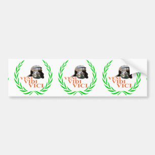 Adesivo Para Carro Veni Vidi Vici