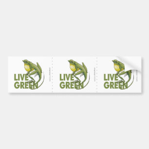 Adesivo Para Carro Verde vivo