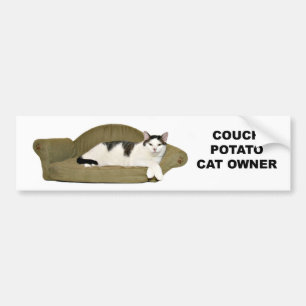 Adesivo Para Carro Viciado em televisão do gato