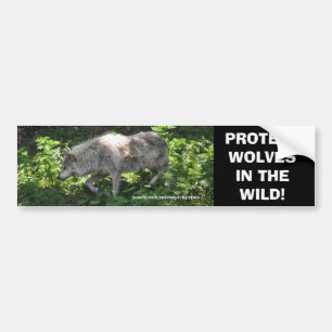 Adesivo Para Carro VÍDEO WHITE WOLF Wildlife Conservation Bumper