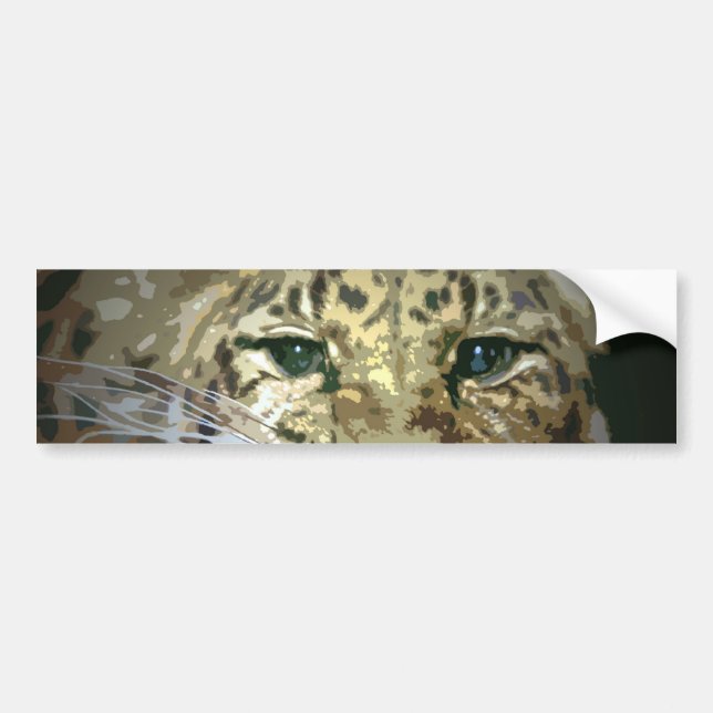 Adesivo Para Carro Vinheta-Trabalho de arte de-choques de olhos-leopa (Frente)